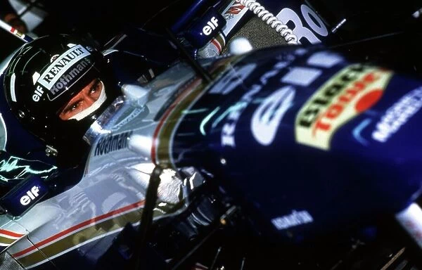 Damon Hill, Williams Renault, 1996 World ©LAT Photographic Te