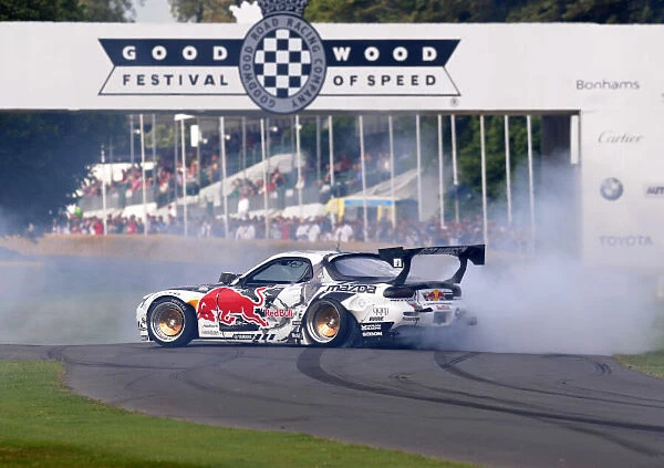 DSC 7885. 2015 Goodwood Festival of Speed