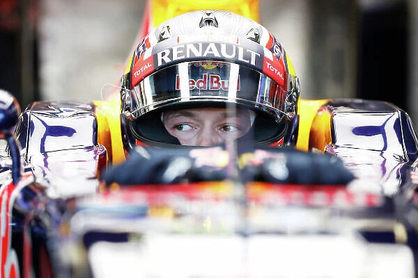 F1 Formula 1 Formula One Gp Ita Portrait Helmets