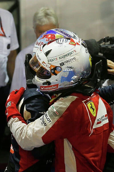 F1 Formula 1 Formula One Gp Sin Portrait Helmets