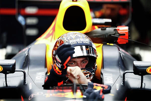 F1 Formula 1 Formula One Portrait Helmets