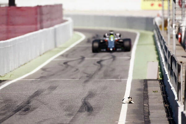 F1 Formula 1 Formula One Test Testing Atmosphere