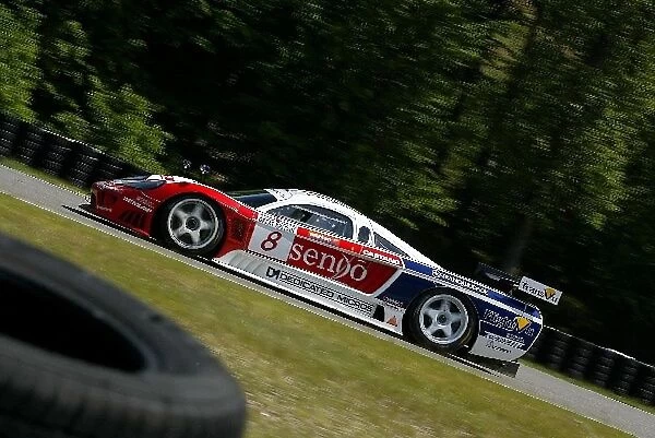 FIA GT Championship: Chris Goodwin  /  Miguel Ramos RML Saleen S7-R