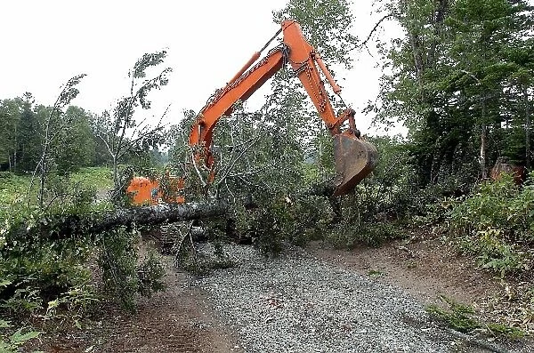 FIA World Rally Championship: Forestry workers hurrying to clear fallen trees after the a typhoon hit the stages prior to the start of the event