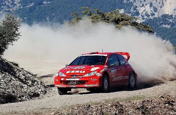 FIA World Rally Championship: Henning Solberg with co-driver Cato Menkerud Bozian Racing Peugeot 206 WRC on stage 8