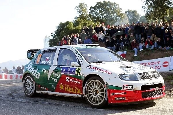 FIA World Rally Championship: Jan Kopecky, Skoda Fabia WRC, on stage 10