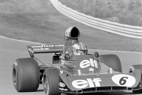 Formula 1 1973: United States GP