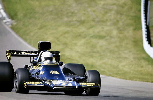 Formula 1 1974: United States GP