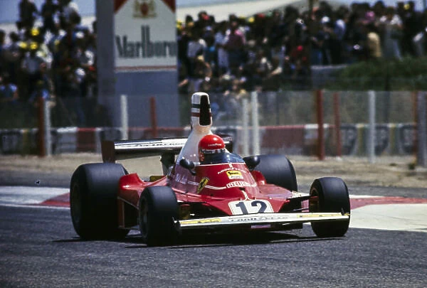 Formula 1 1975: French GP