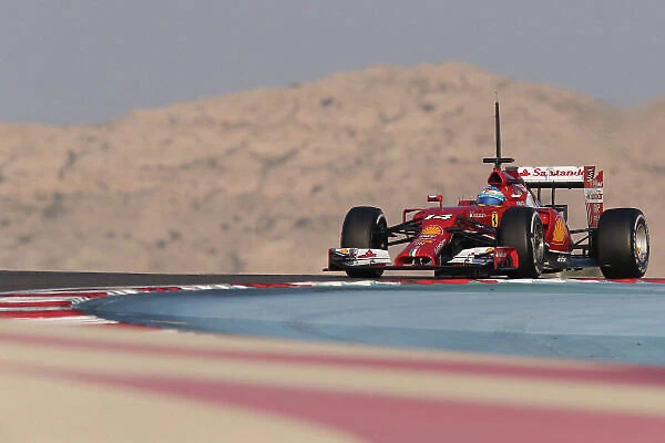 Formula One Testing, Day Two, Bahrain International Circuit, Sakhir, Bahrain, Thursday 20 February 2014
