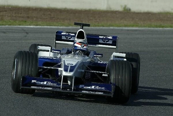 Formula One Testing: Dirk Muller Williams BMW