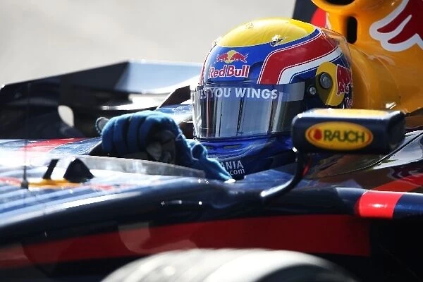 Formula One Testing: Mark Webber Red Bull Racing RB3