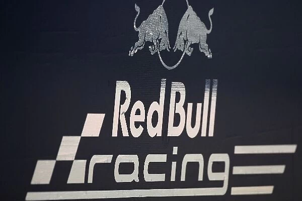 Formula One Testing: Red Bull racing logo