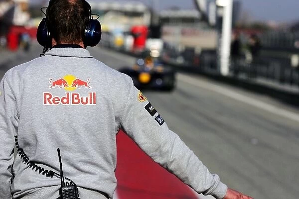 Formula One Testing: A Red Bull Racing mechanic