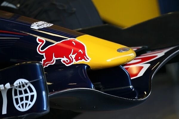 Formula One Testing: Red Bull RB3 details