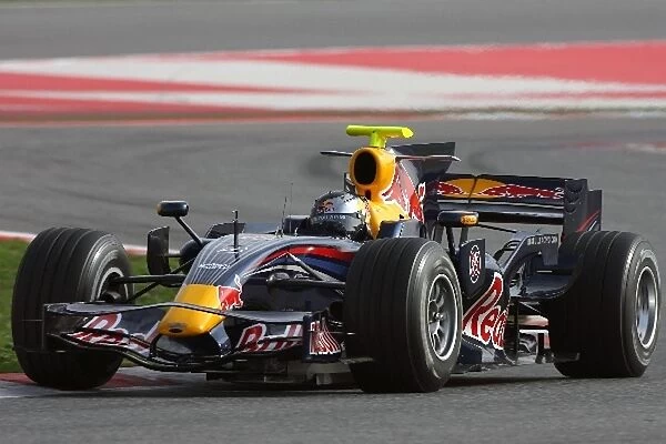 Formula One Testing: Sebastian Vettel tests for Red Bull
