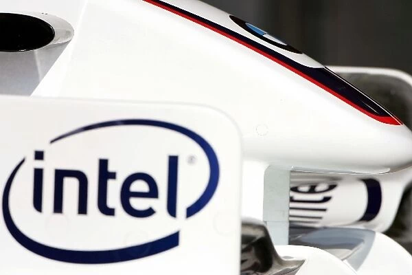 Formula One Testing: Front wing of the BMW Sauber F1. 06