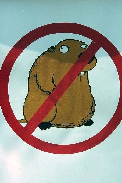 Formula One World Championship: No Beavers  /  Groundhogs  /  Marmots allowed in the Super Aguri Racing F1 Team pit area