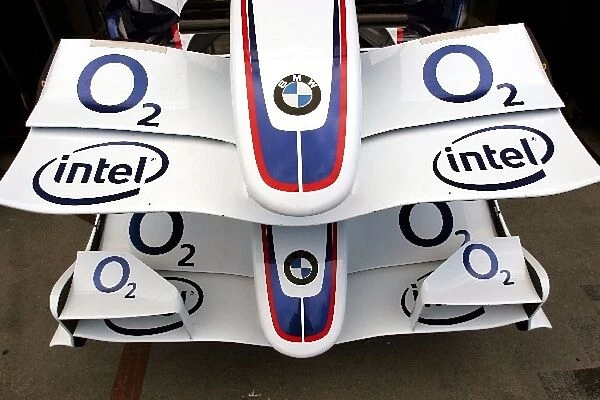 Formula One World Championship: BMW Sauber F1. 06 front wings