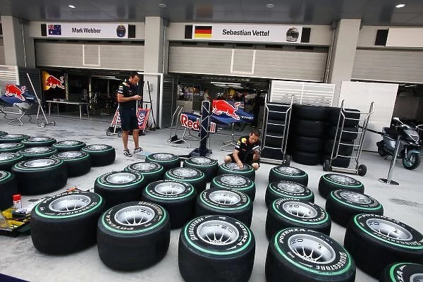Formula One World Championship: Bridgestone tyres for the Red Bull Racing team