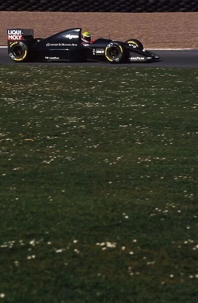 Formula One World Championship: European Grand Prix, Donington, 11 April 1993