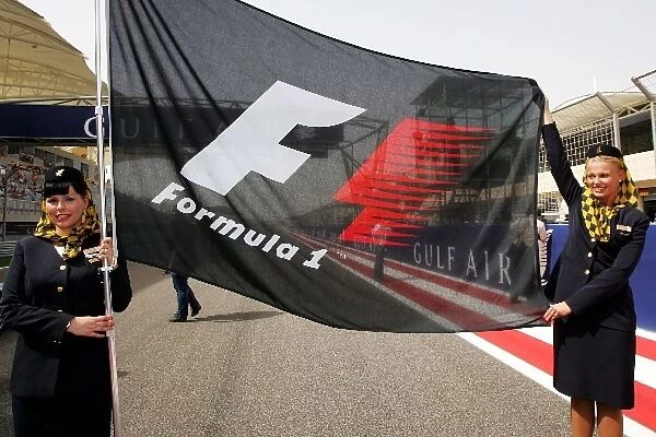 Formula One World Championship: F1 flag on the grid