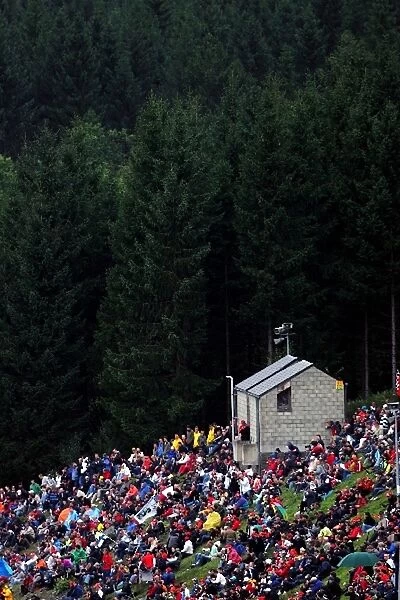 Formula One World Championship: Fans on the hillside