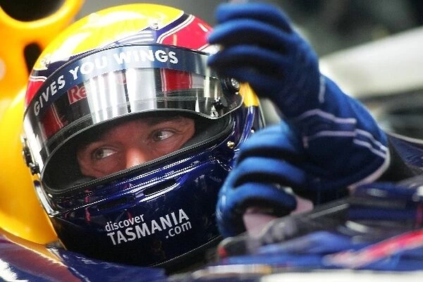 Formula One World Championship: Mark Webber, Red Bull Racing RB3