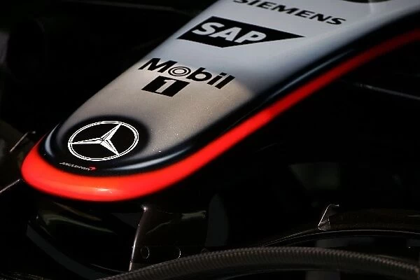 Formula One World Championship: McLaren Front wing