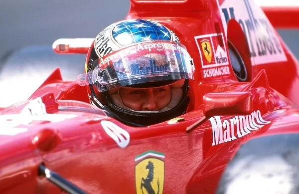 Formula One World Championship: Michael Schumacher, Ferrari F310B, 1st place