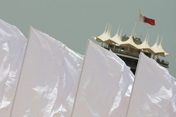 Formula One World Championship: Multiple flags in the desert
