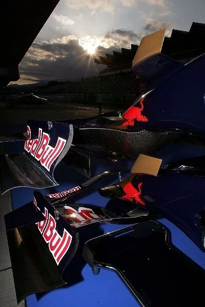 Formula One World Championship: New horn wings on the Toro Rosso