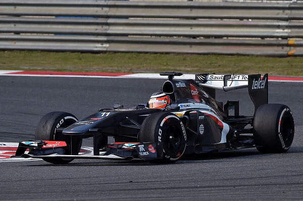 Formula One World Championship: Nico Hulkenberg Sauber C32