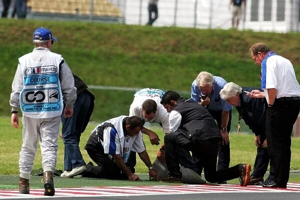 Formula One World Championship: A problem with errant astroturf halted the final practice session