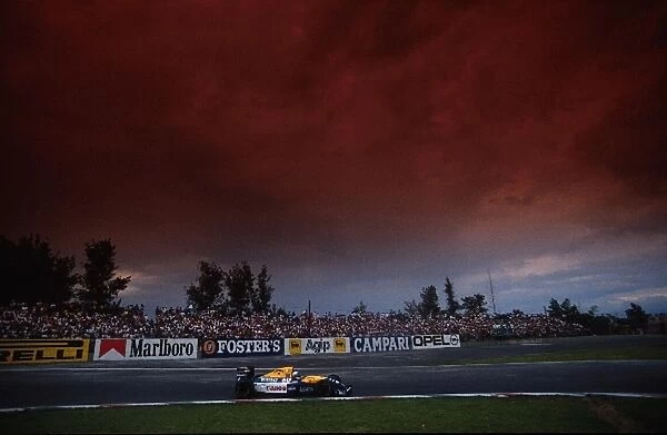Formula One World Championship: Race winner Riccardo Patrese Williams FW14
