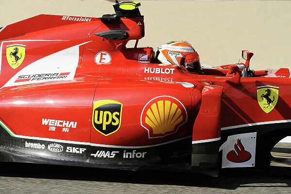 Formula One World Championship, Rd19, Abu Dhabi Grand Prix, Practice, Yas Marina Circuit, Abu Dhabi, UAE, Friday 21 November 2014
