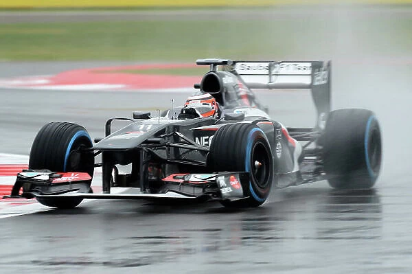Formula One World Championship, Rd8, British Grand Prix, Practice, Silverstone, England, Friday 28 June 2013