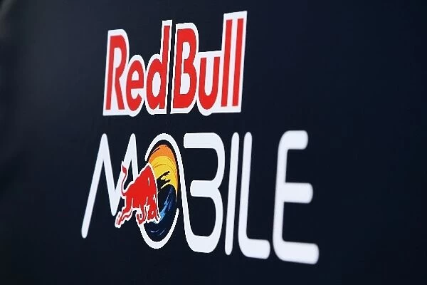 Formula One World Championship: Red Bull Mobile branding