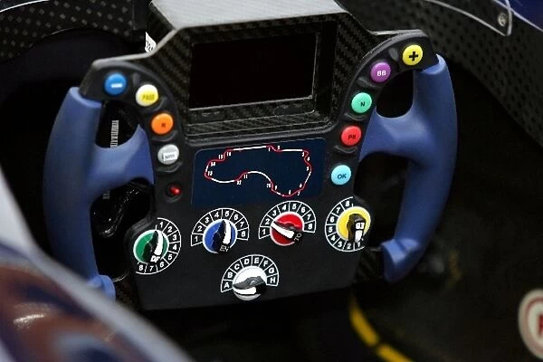 Formula One World Championship: Red Bull Racing RB1 steering wheel