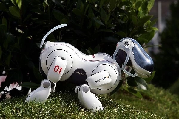 Formula One World Championship: The Red Bull Racing Sony Aibo robot dog