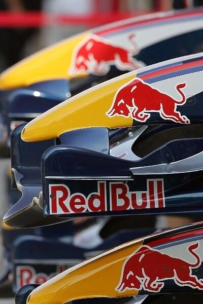Formula One World Championship: Red Bull Racing front wings