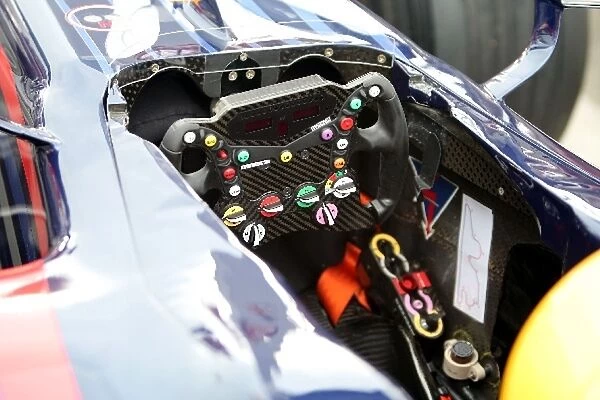 Formula One World Championship: Red Bull steering wheel