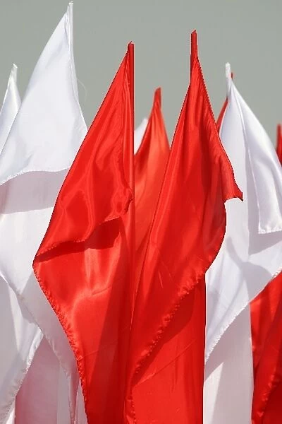 Formula One World Championship: Red and White Flags