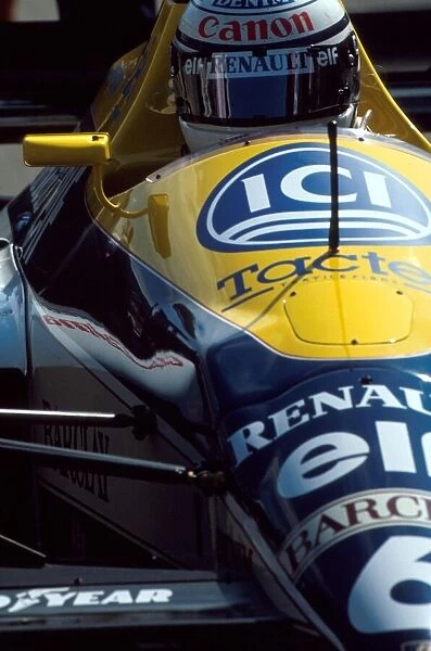 Formula One World Championship: Riccardo Patrese decided not to race the Williams FW13 and used the aging FW12C. He was rewarded with fifth place