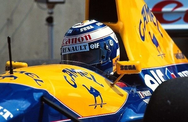 Formula One World Championship: South African GP, Kyalami, 14 March 1993