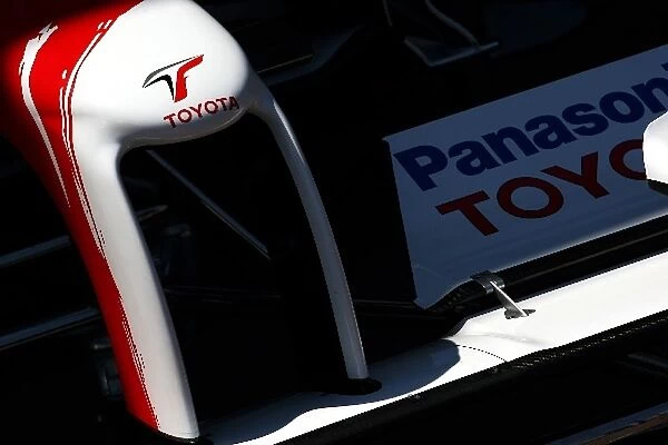 Formula One World Championship: Toyota TF109 nosecone