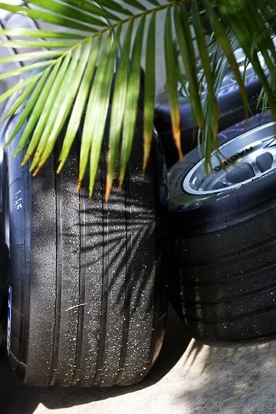 Formula One World Championship: Tyres in the shade