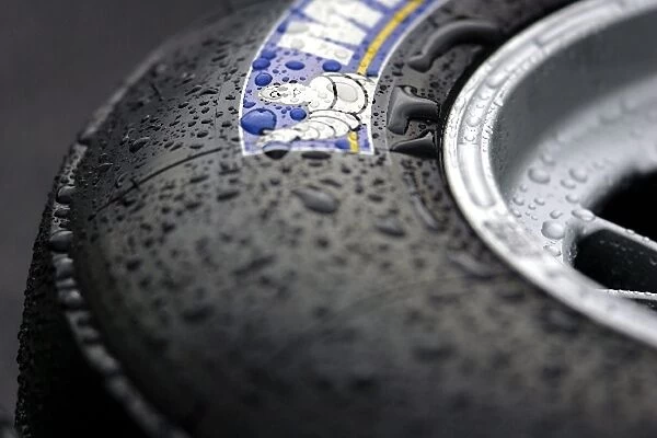 Formula One World Championship: Wet, slick Michelin tyre