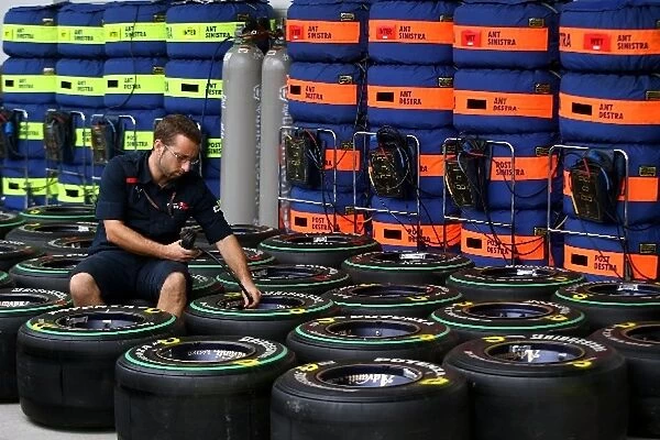 Formula One World Championship: Wheels and tyres for Scuderia Toro Rosso