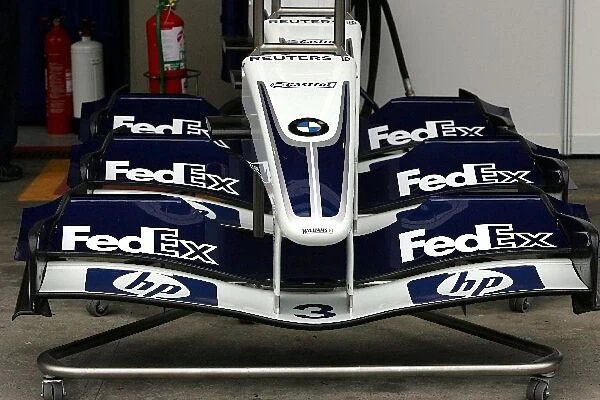 Formula One World Championship: Williams BMW FW26 front wings